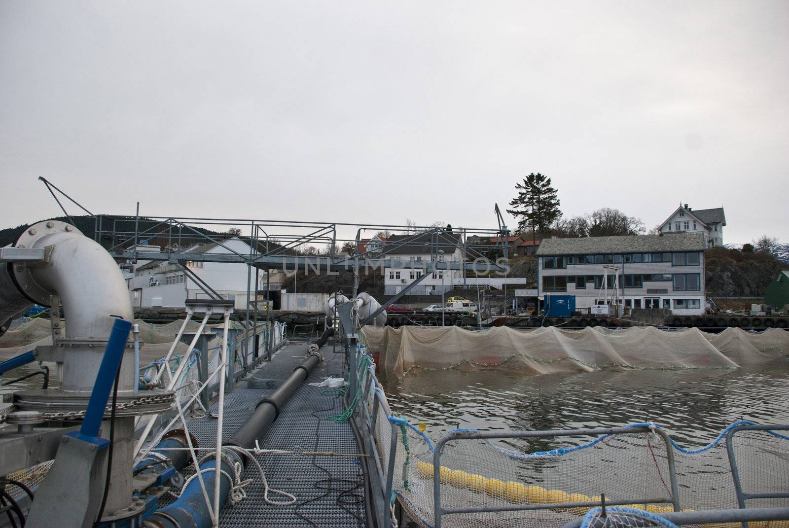 From a salmon packing plant in Norway