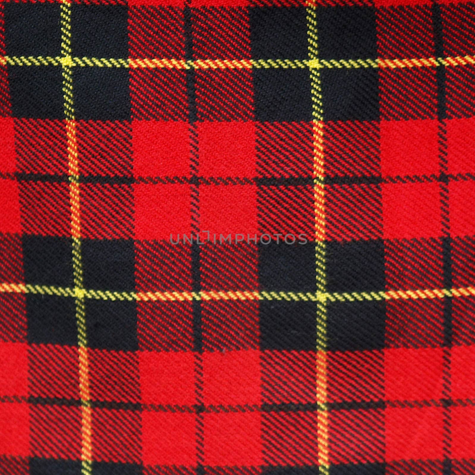 Tartan by claudiodivizia