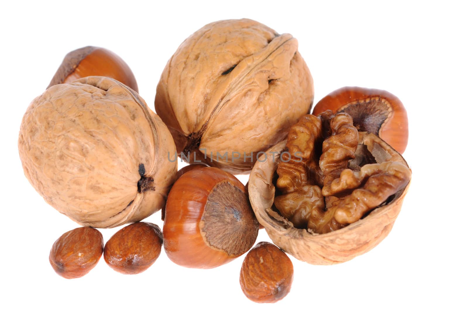 walnuts and hazelnuts  isolated on white background