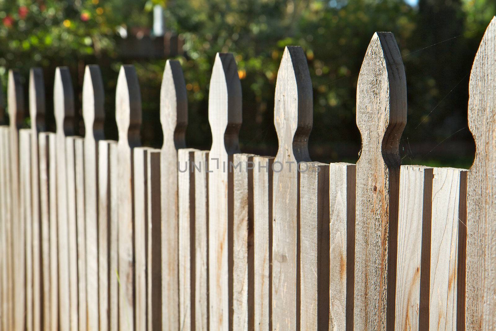 Plain carved wood fence win perspectie dimishing to soft focus