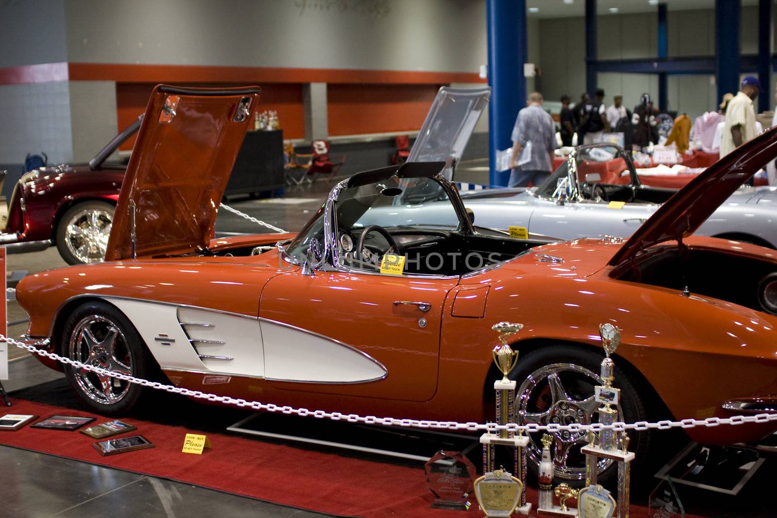 Corvettes at the 31st Annual Corvette / Chevy Expo
March 7 & 8, 2009
Houston George Brown Convention Center