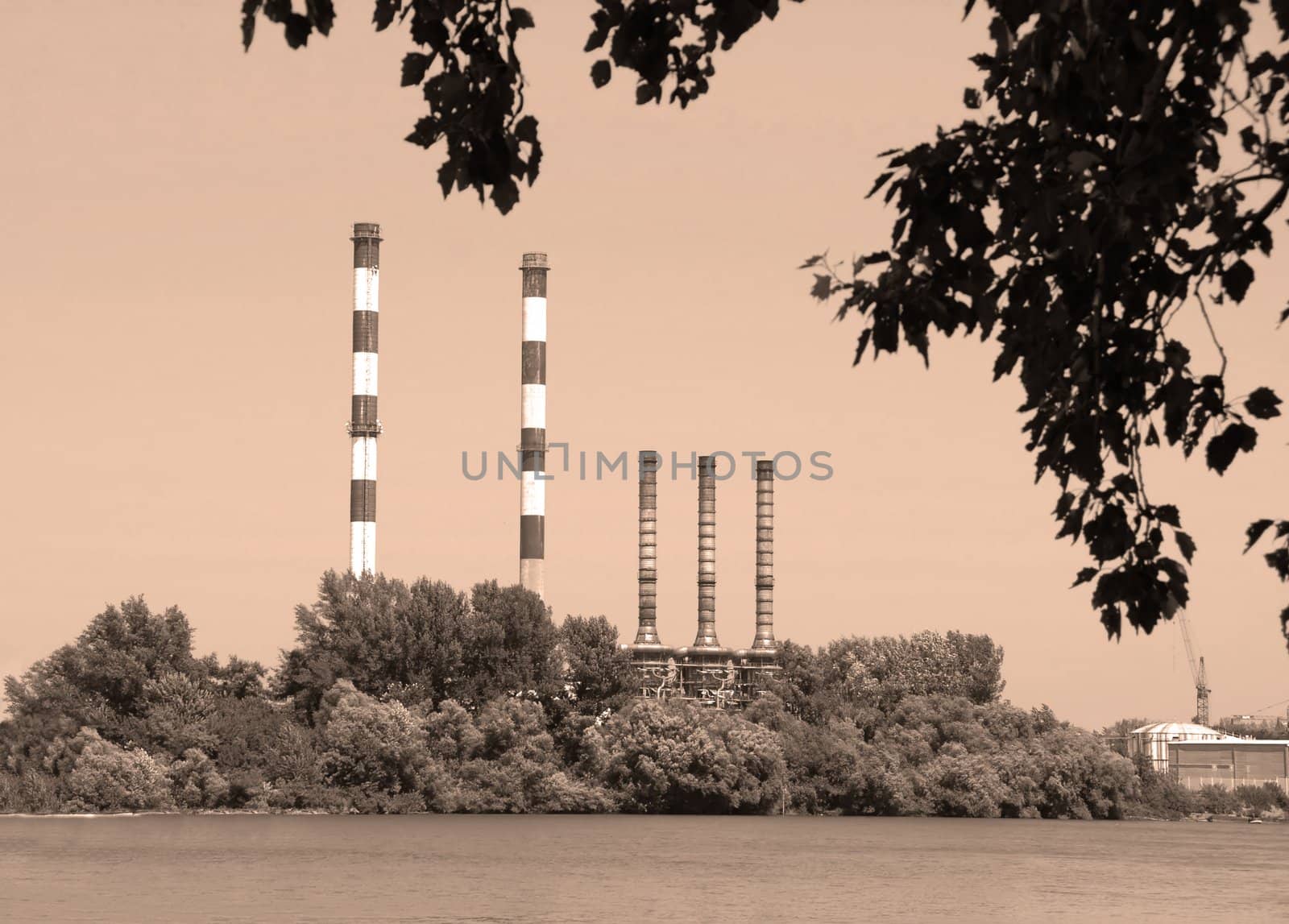 factory by Danube river, several chimneys behind trees in sepia tones