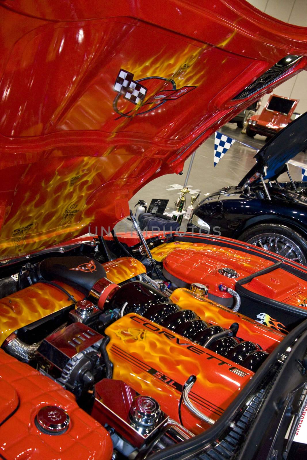 Corvettes at the 31st Annual Corvette / Chevy Expo
March 7 & 8, 2009
Houston George Brown Convention Center