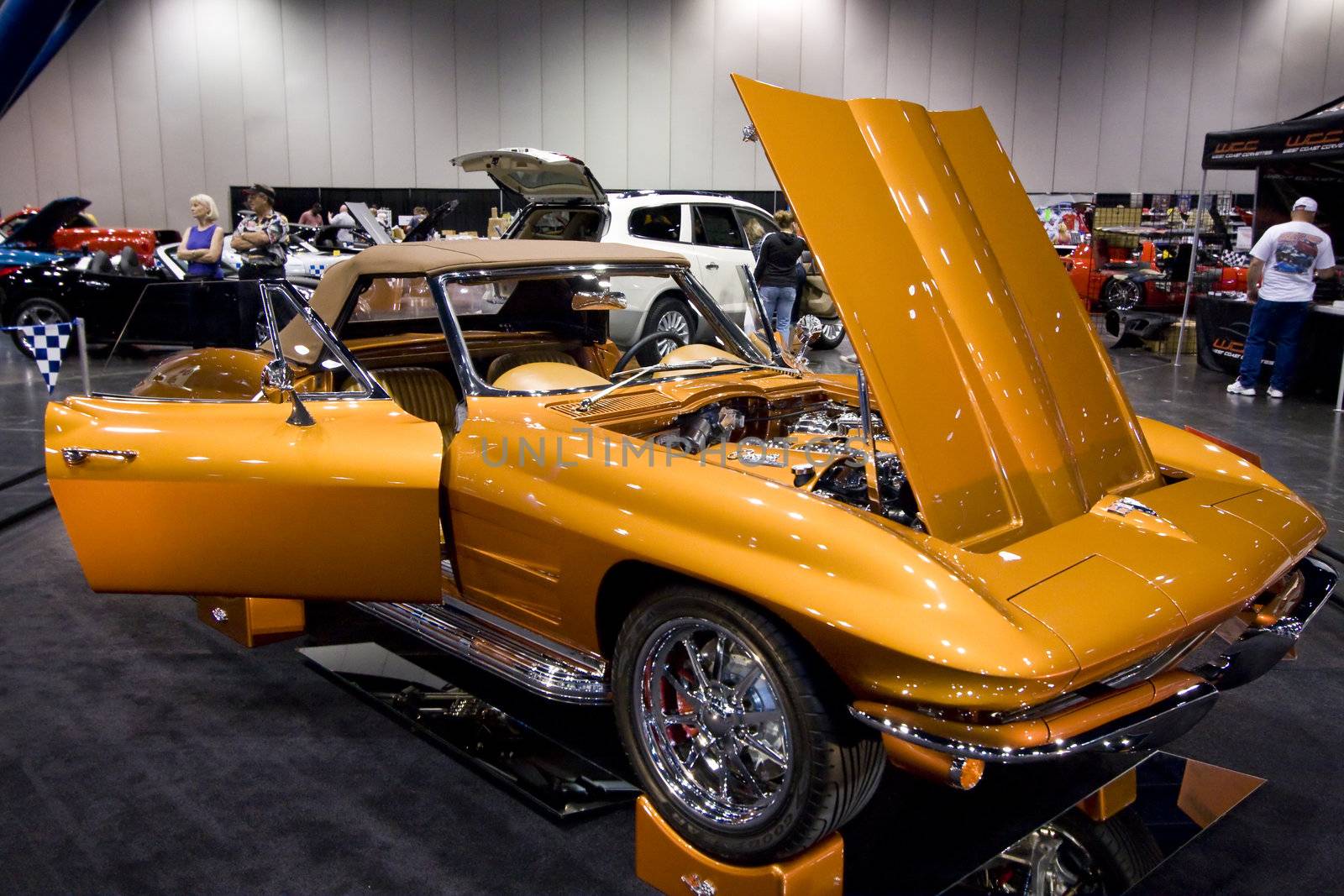 Corvettes at the 31st Annual Corvette / Chevy Expo
March 7 & 8, 2009
Houston George Brown Convention Center