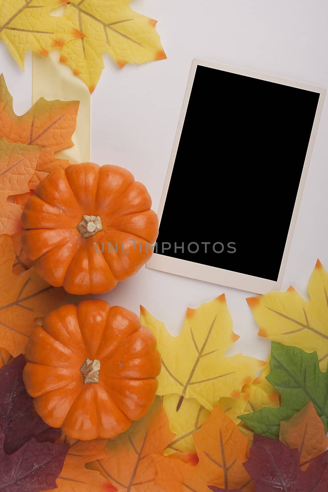 Small orange pumpkins symbolising autumn holidays and used in decorative works.