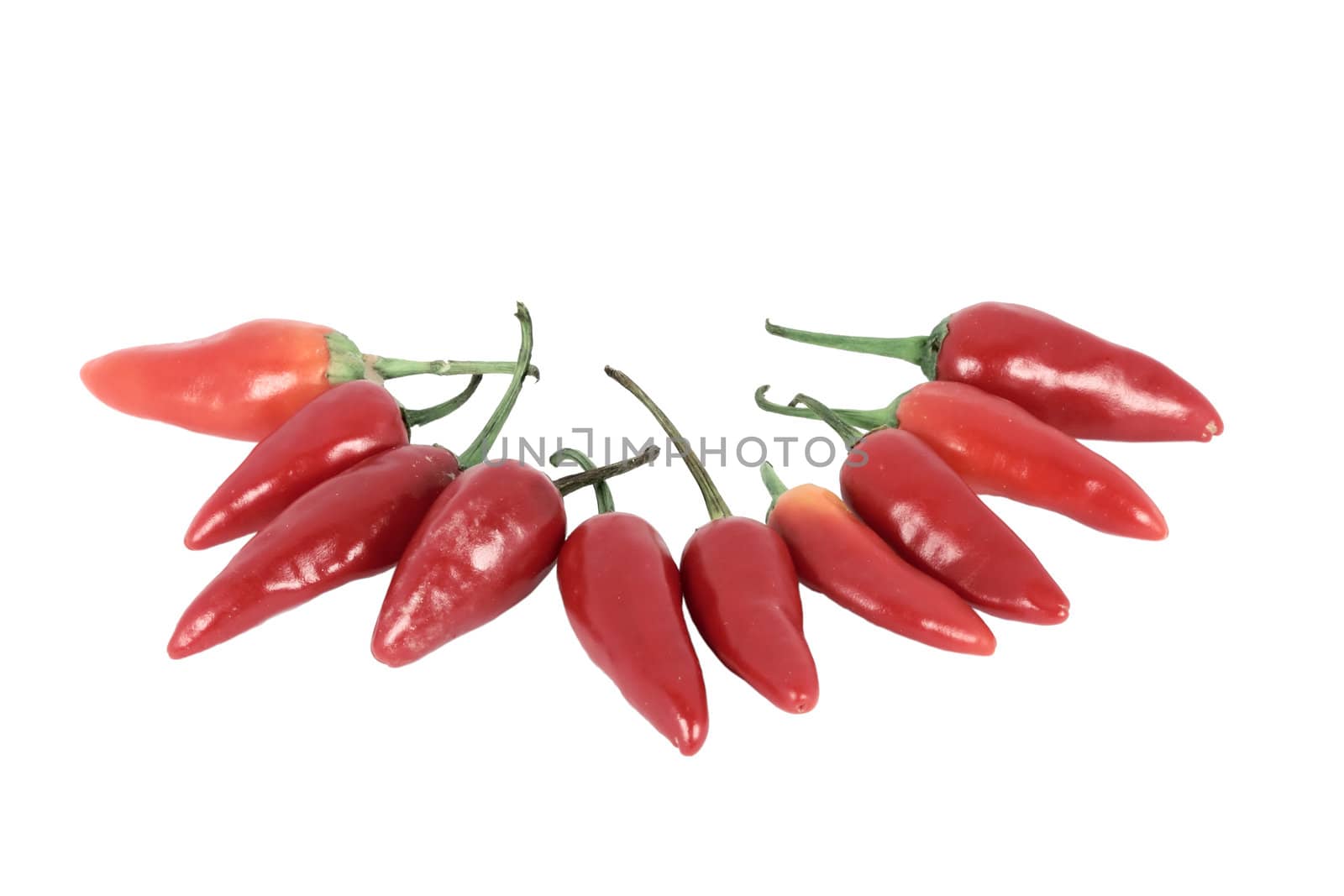 Red hot chilli pepper isolated on white