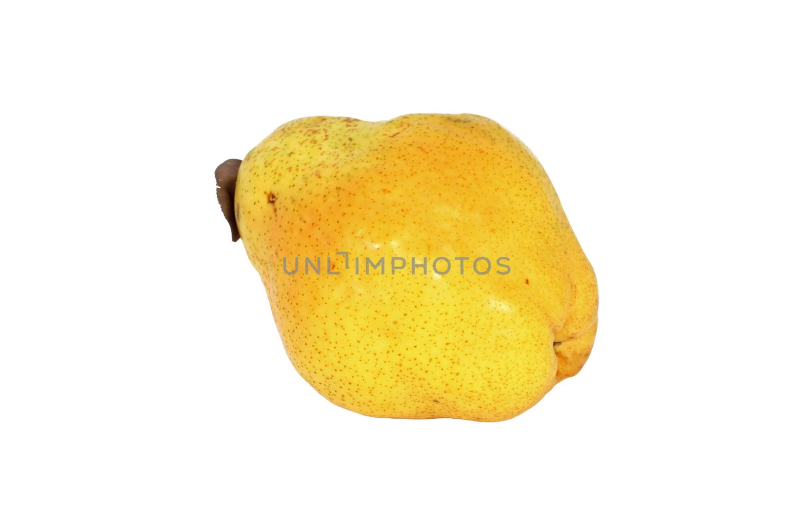 Fresh ripe quince isolated on white