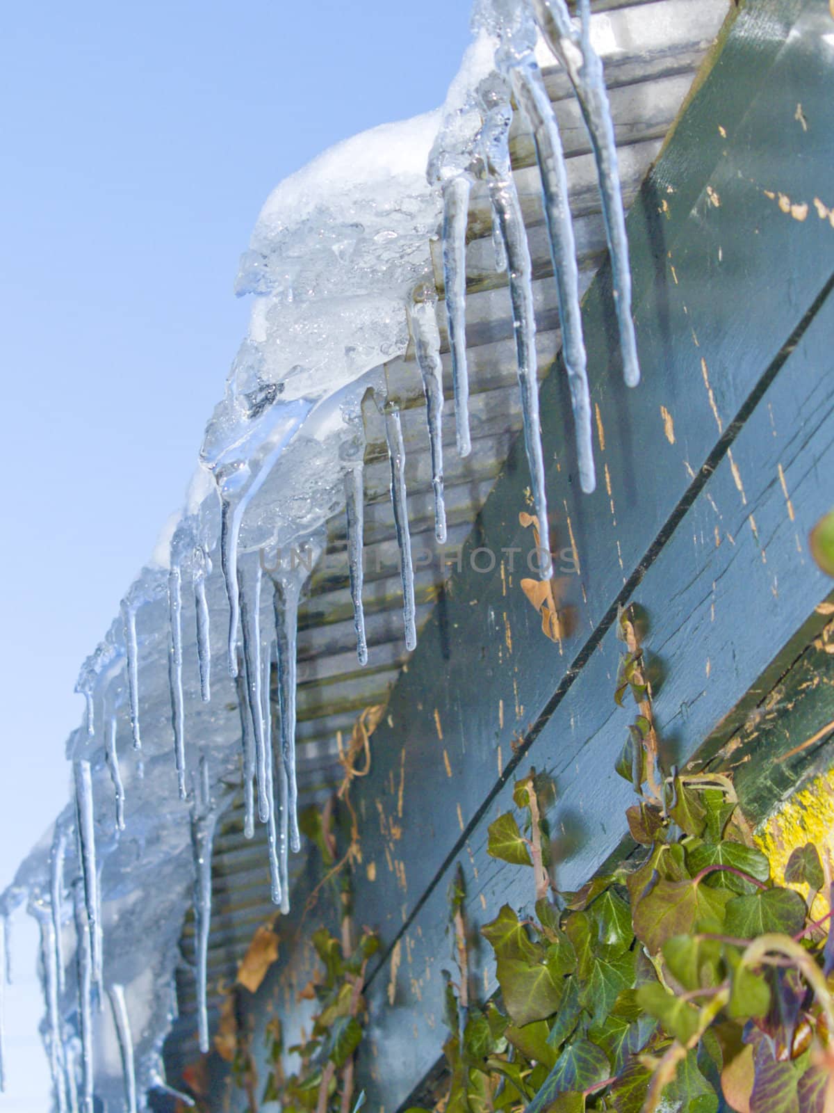 Ice hanging down from a green  roof