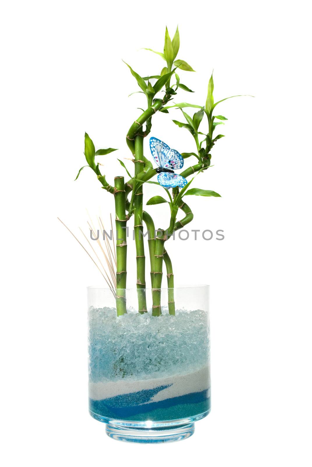 Glass jar with bamboo isolated on white background.