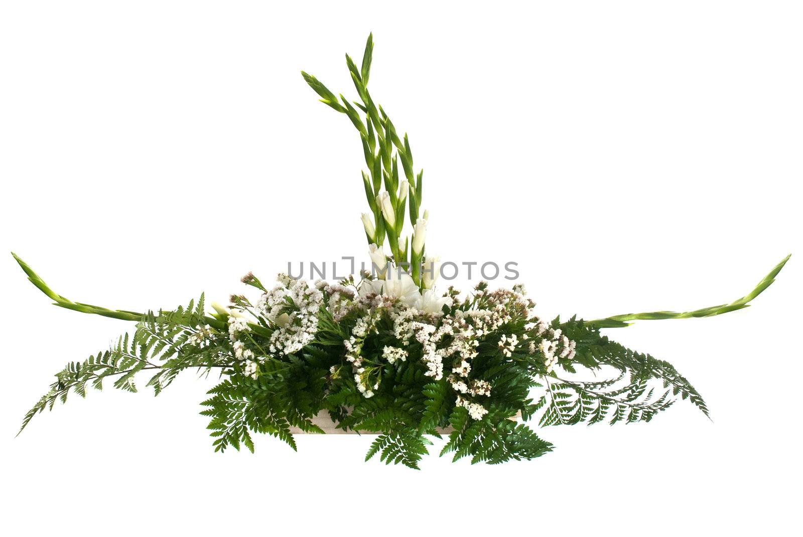 White flowers arrangement isolated on white background.