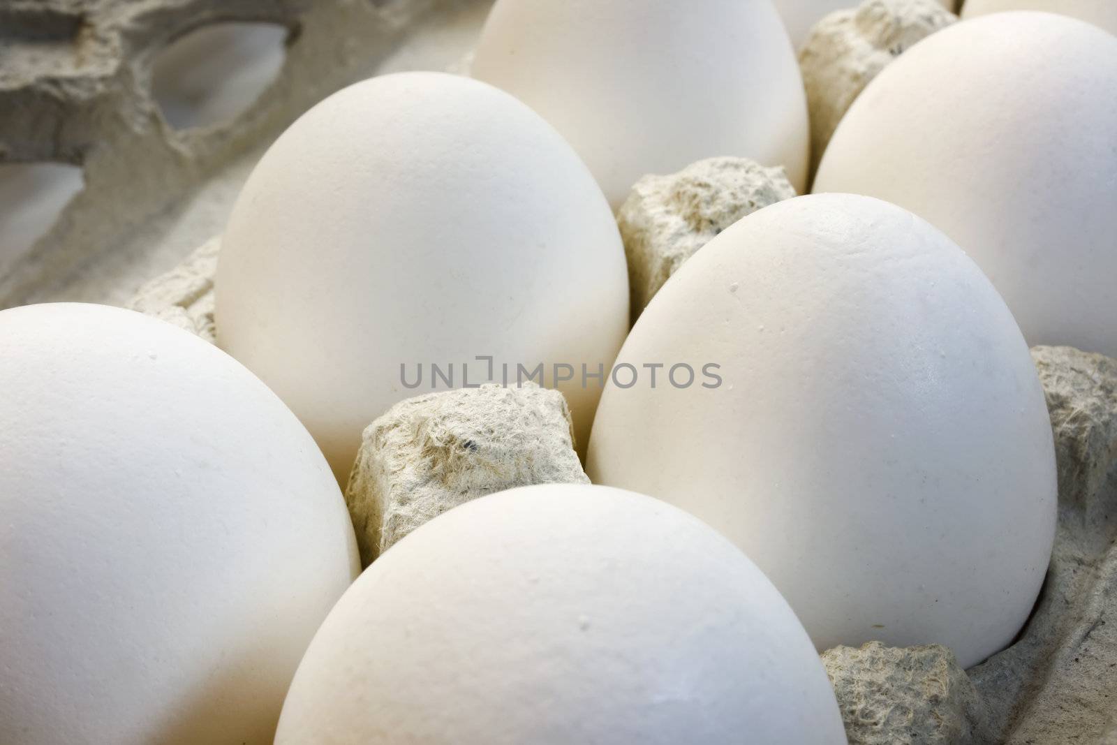 Eggs combined in cardboard packing, a photo close up