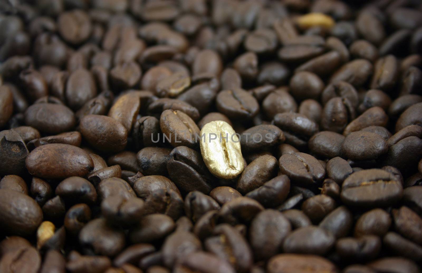 Golden Coffee Bean on a bed of normal coffee beans
