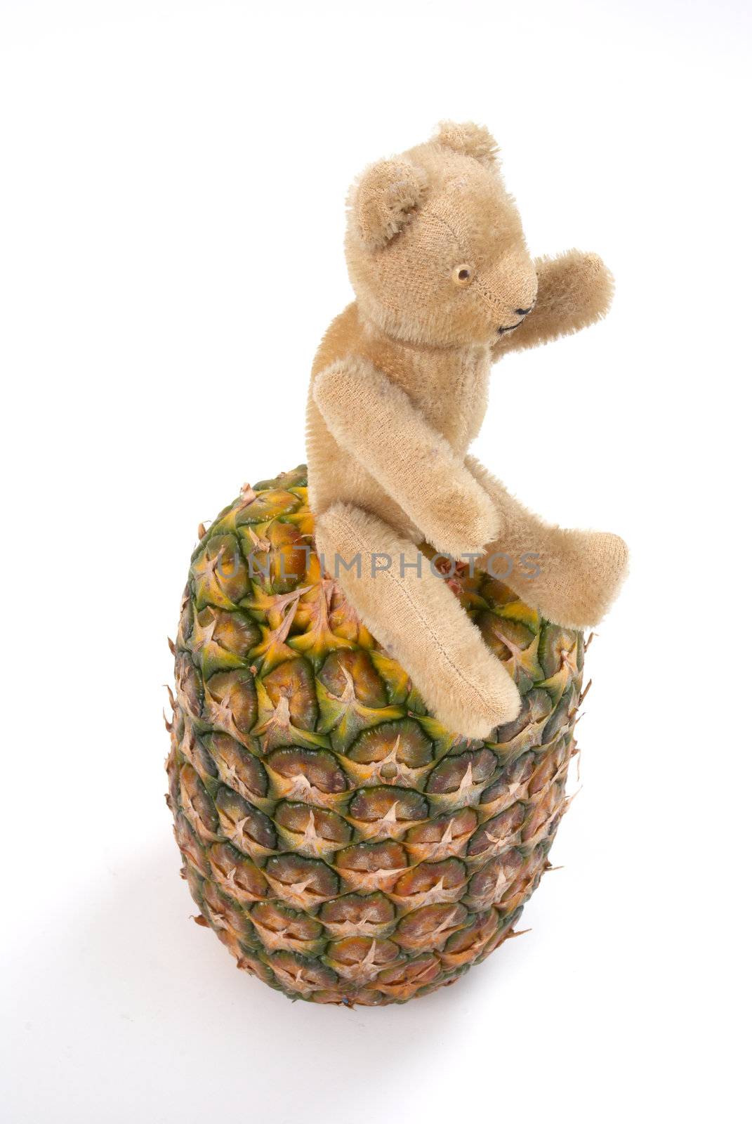 Teddy on top of a pineapple, motivation for healthy food