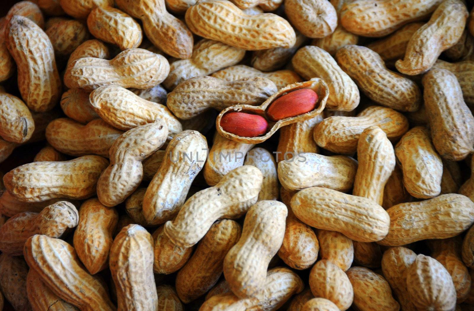 Close up of peanuts with one shell open.
