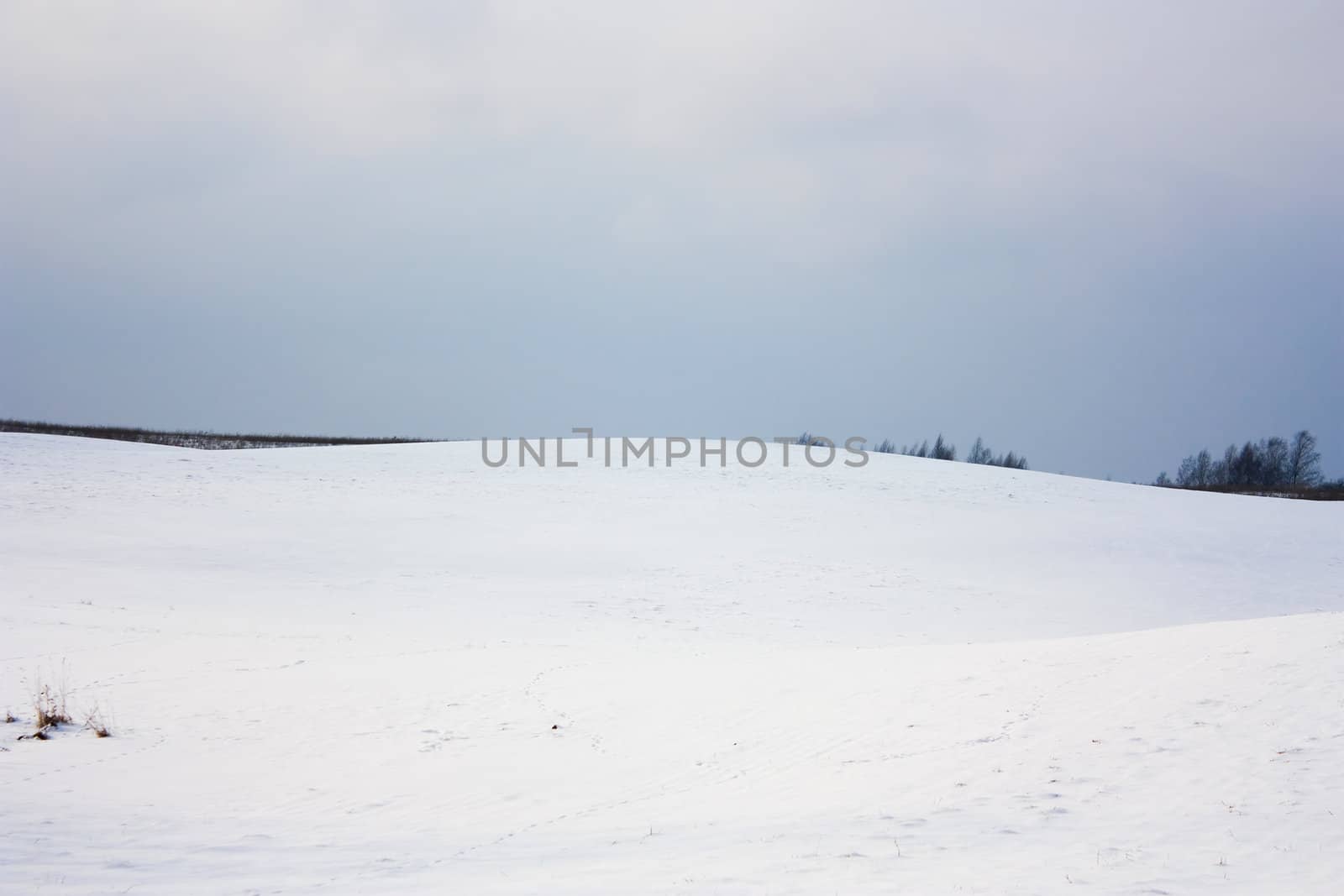 winter landscape