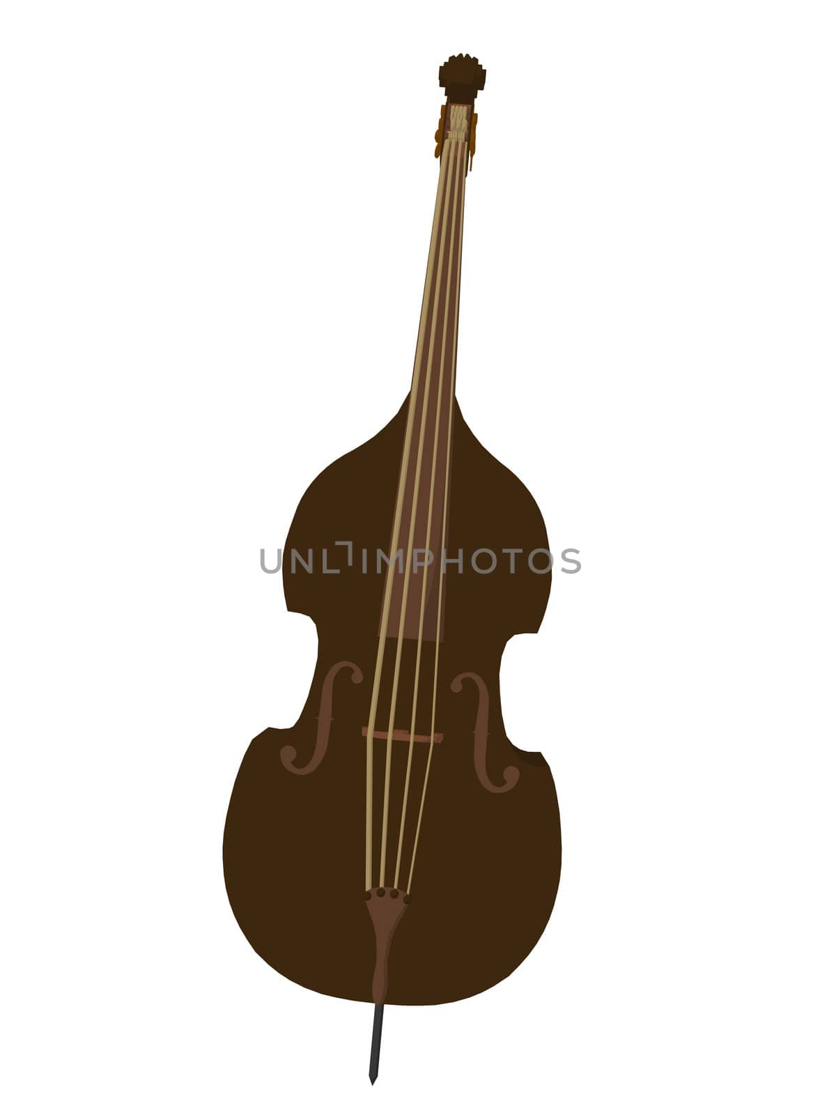 Illustration of a bass on a white background