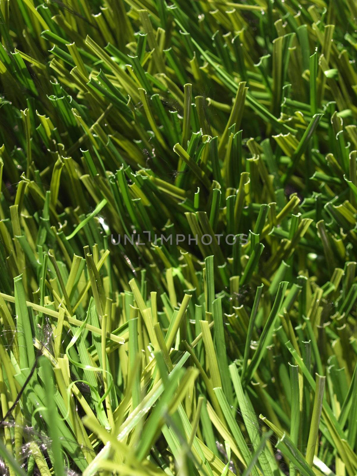 Detail of green grass artificial lawn meadow, useful as a background