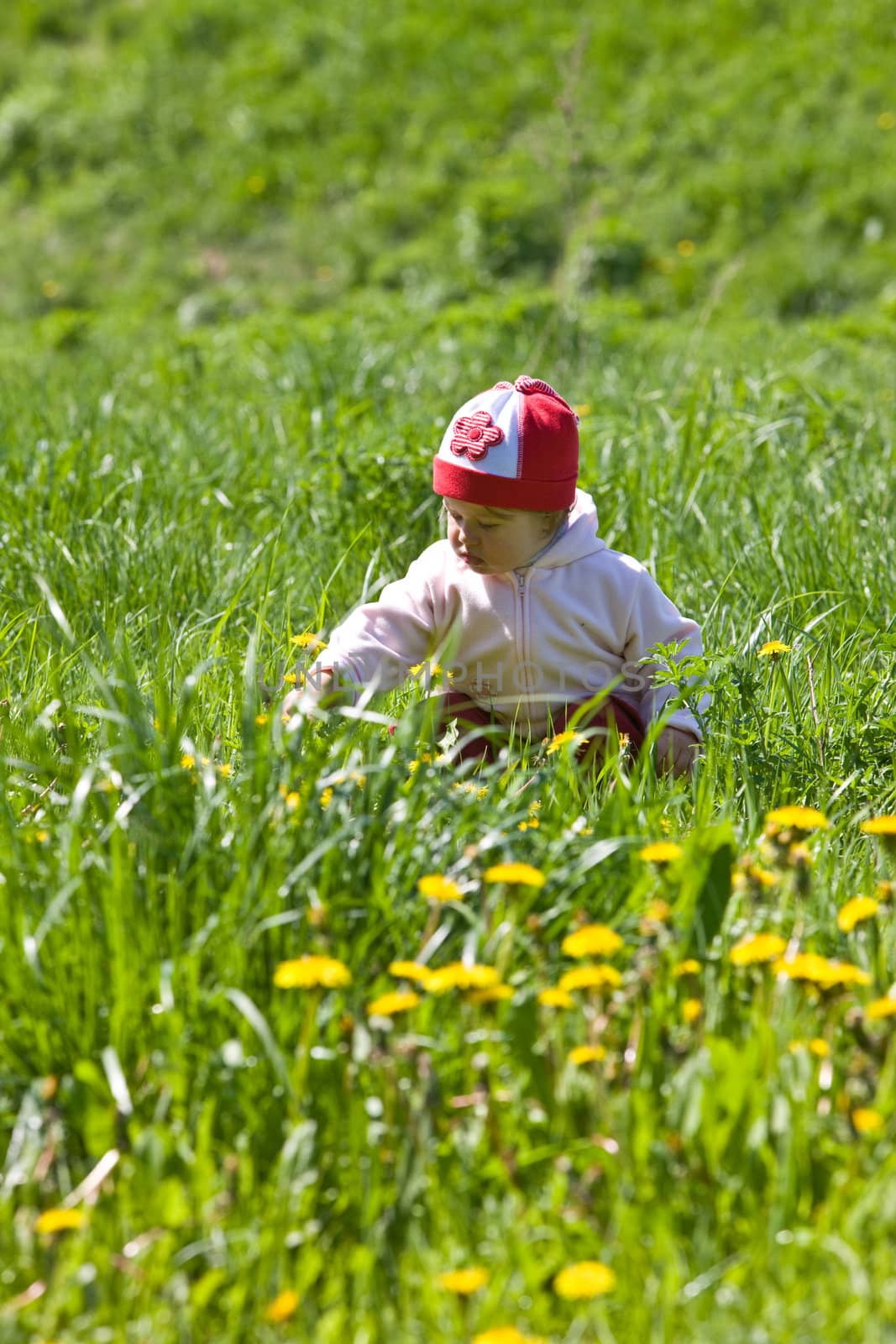 child on the green meadow by agg