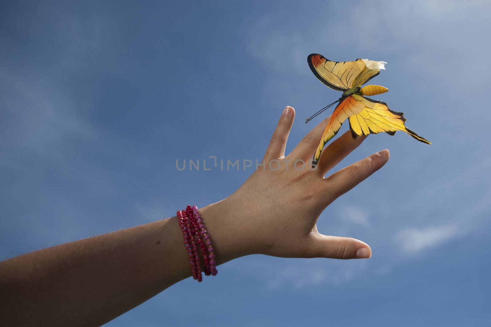 woman hand gently holding yellow butterfly over blue sky
