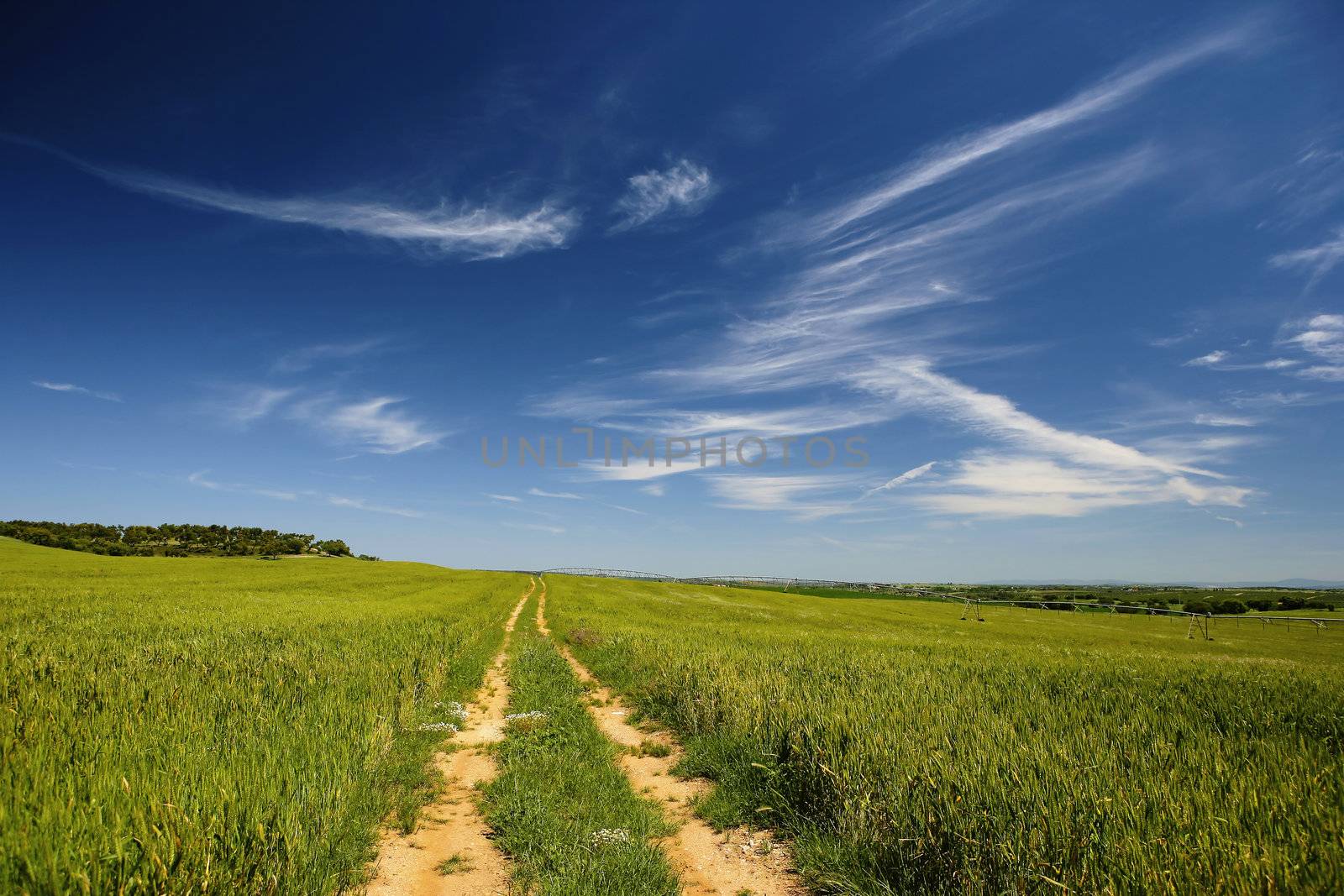 road path in beautiful spring landscape by mlopes