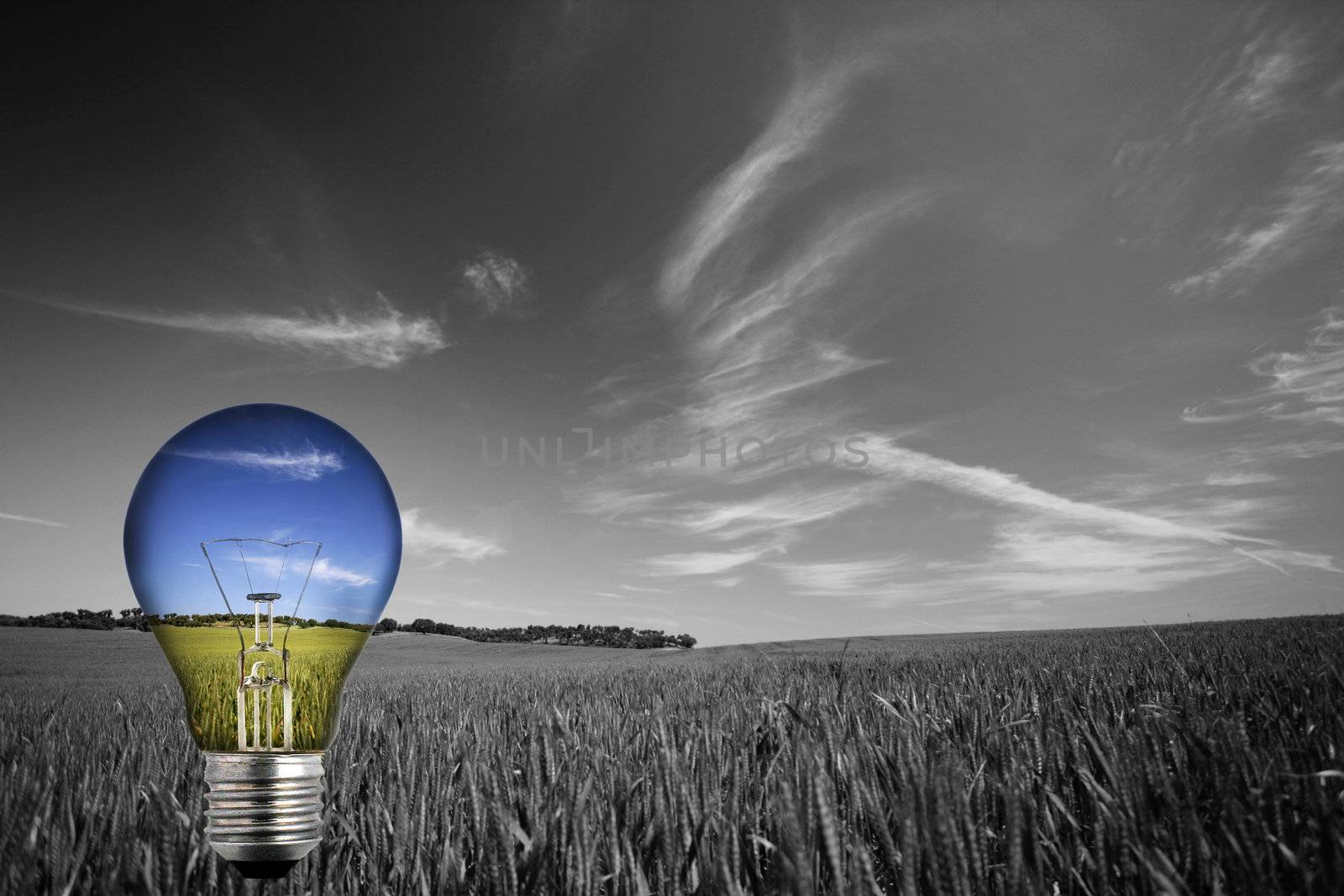 black and white landcape with colorful blue light bulb - environmental concept