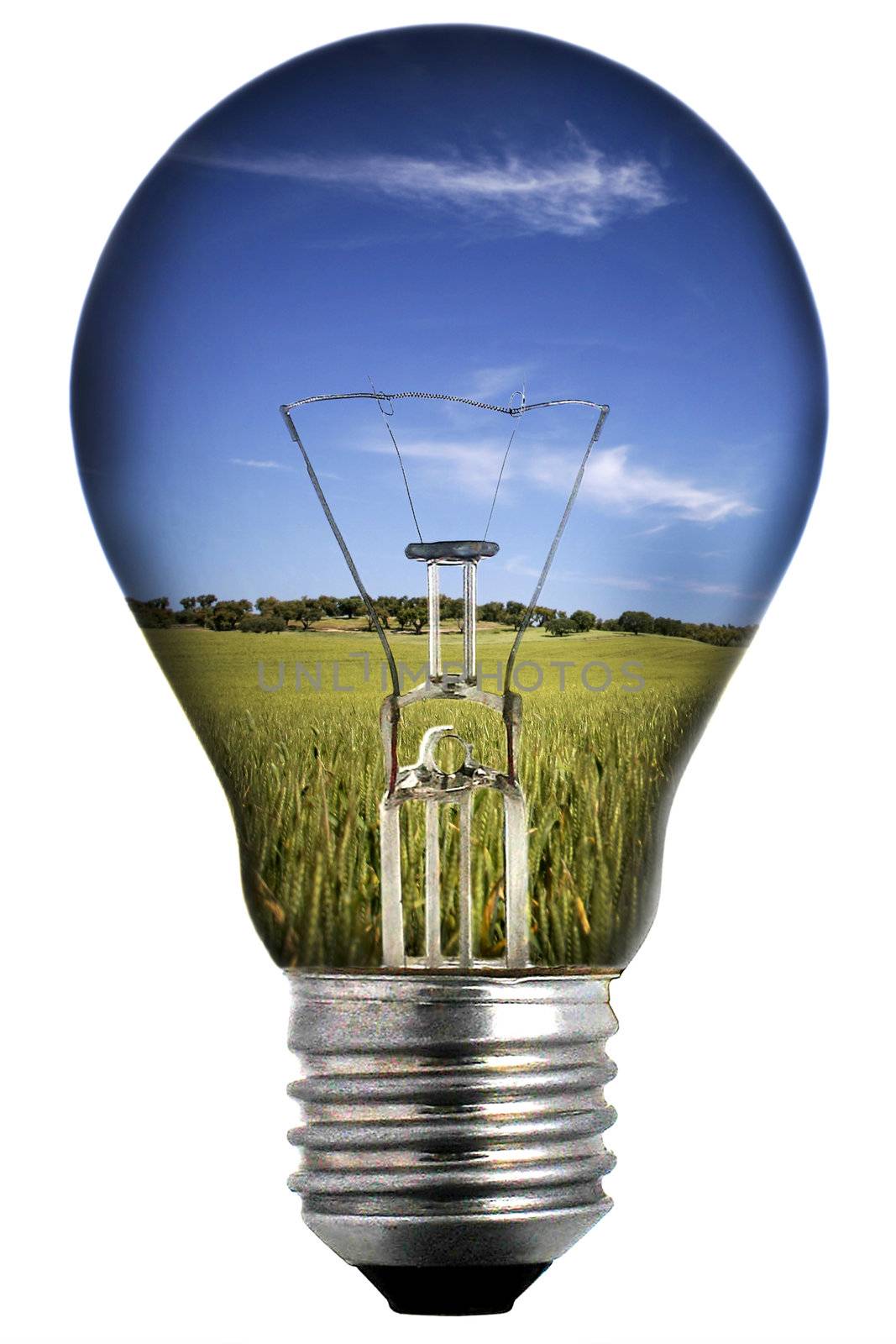 light bulb with landscape inside - environmental concept by mlopes