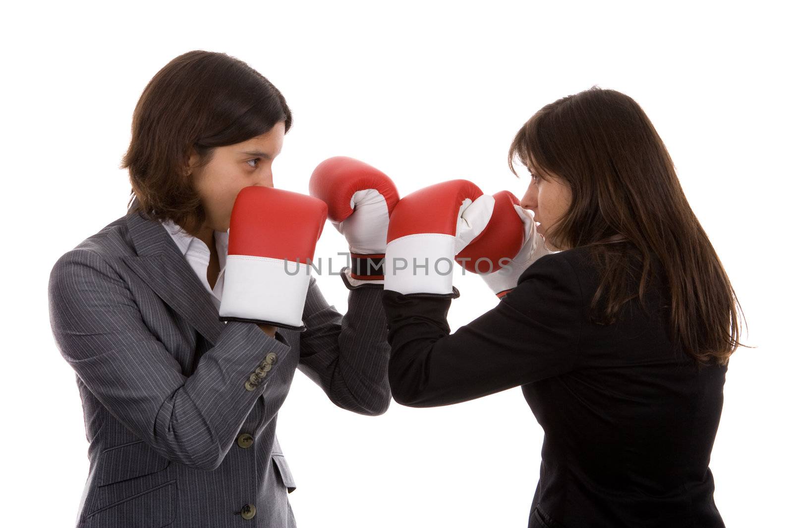 two businesswomen with boxing gloves fighting. isolated on white background.