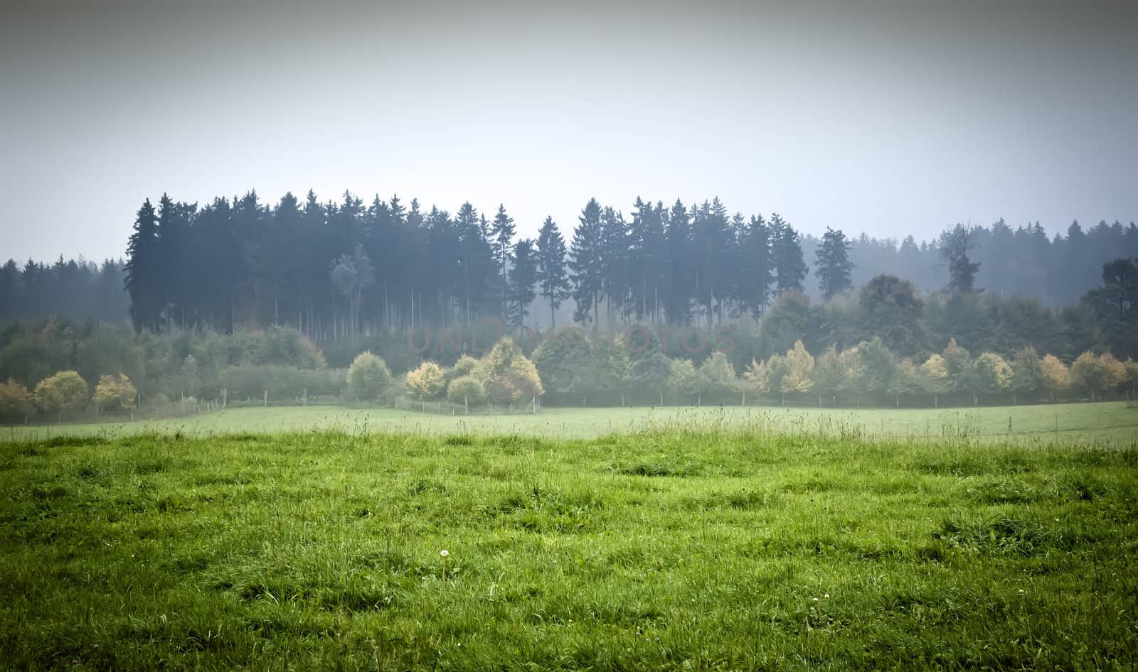 An image of a beautiful landscape with fog in bavaria germany