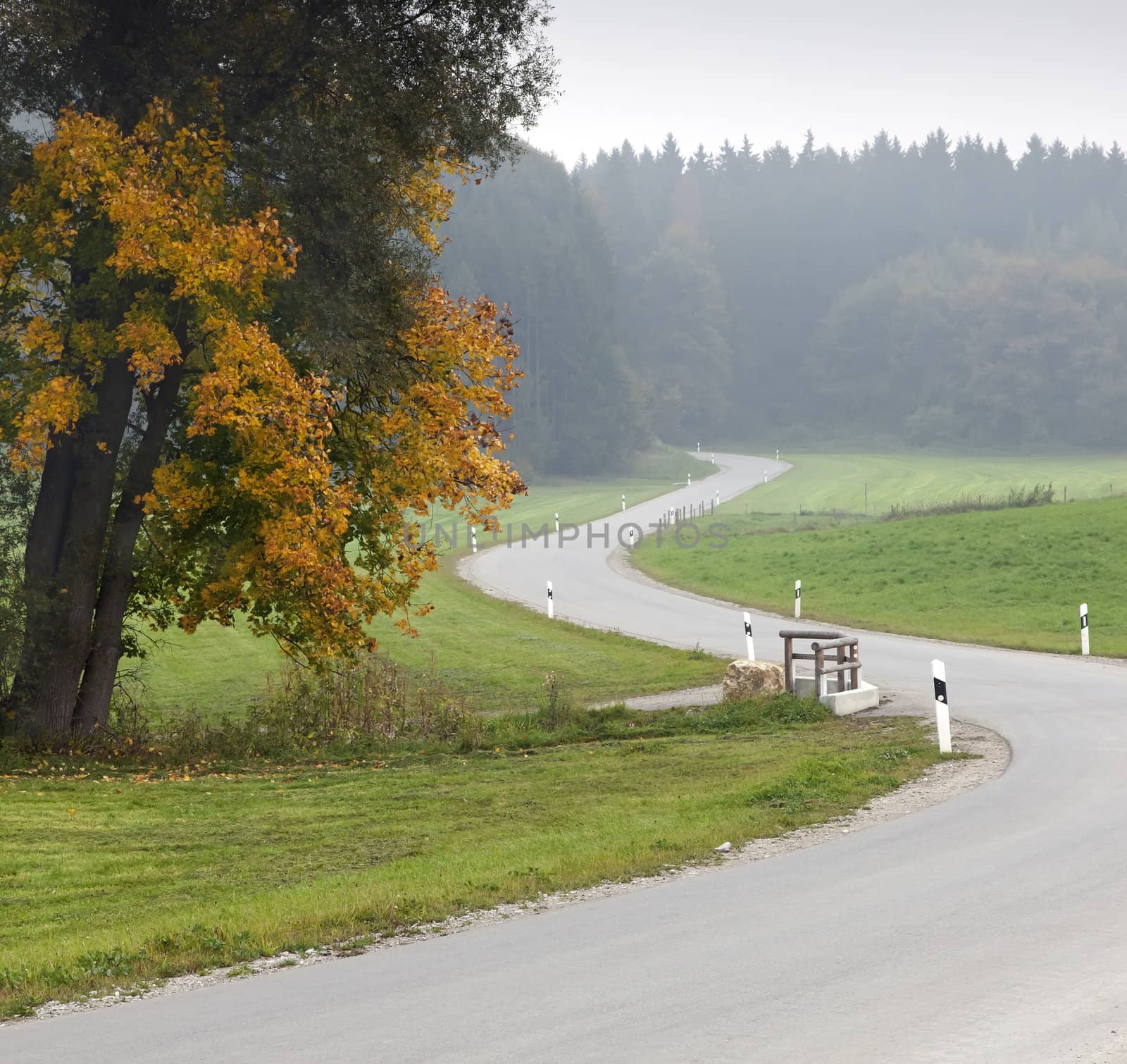 An image of a beautiful landscape with fog in bavaria germany