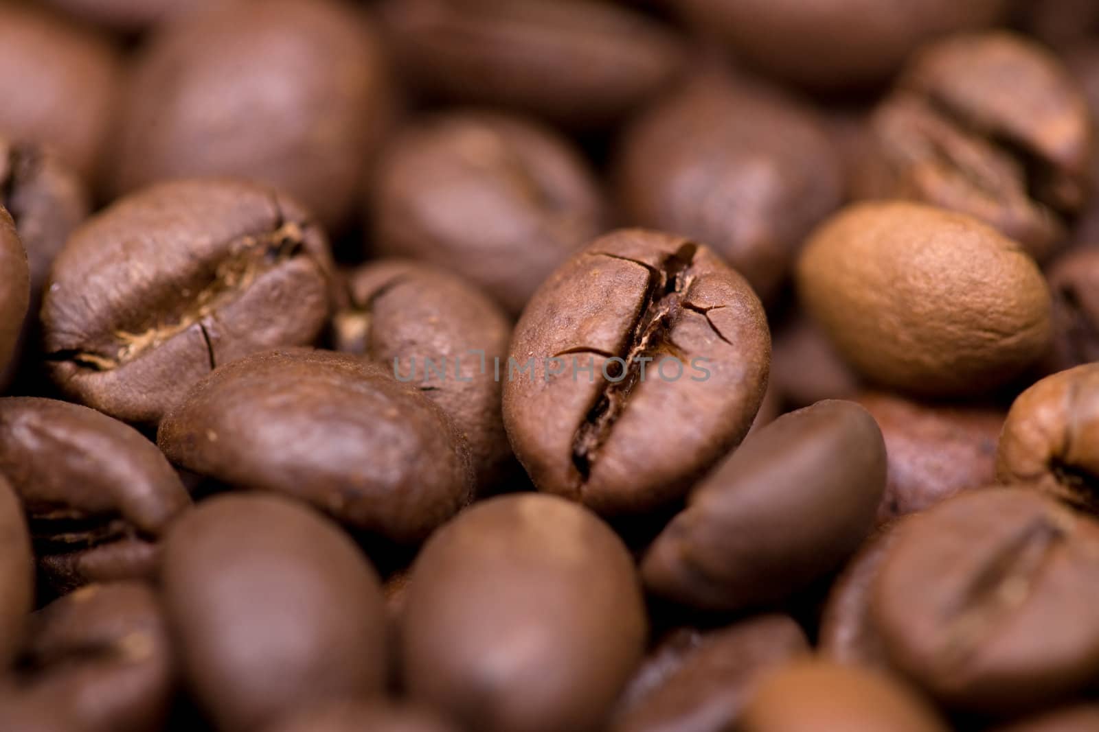 Close up macro shot of coffee bean. Selective focus on single bean.