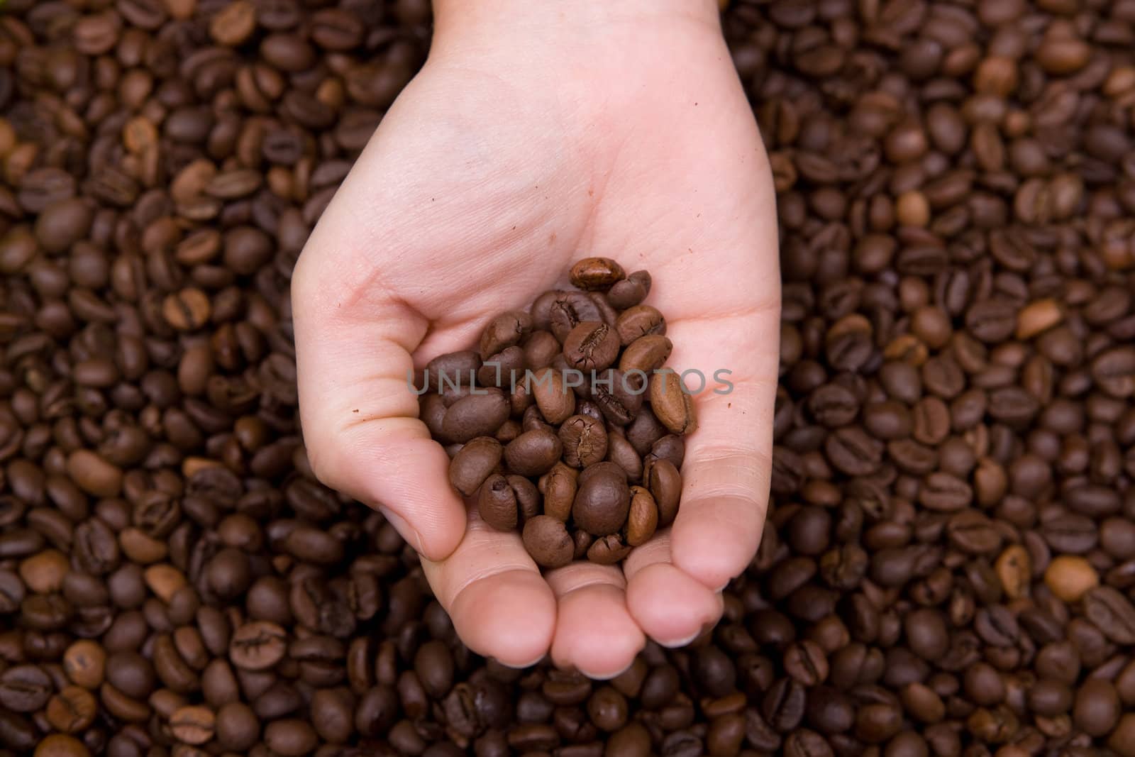 woman hand holding coffee beans by mlopes