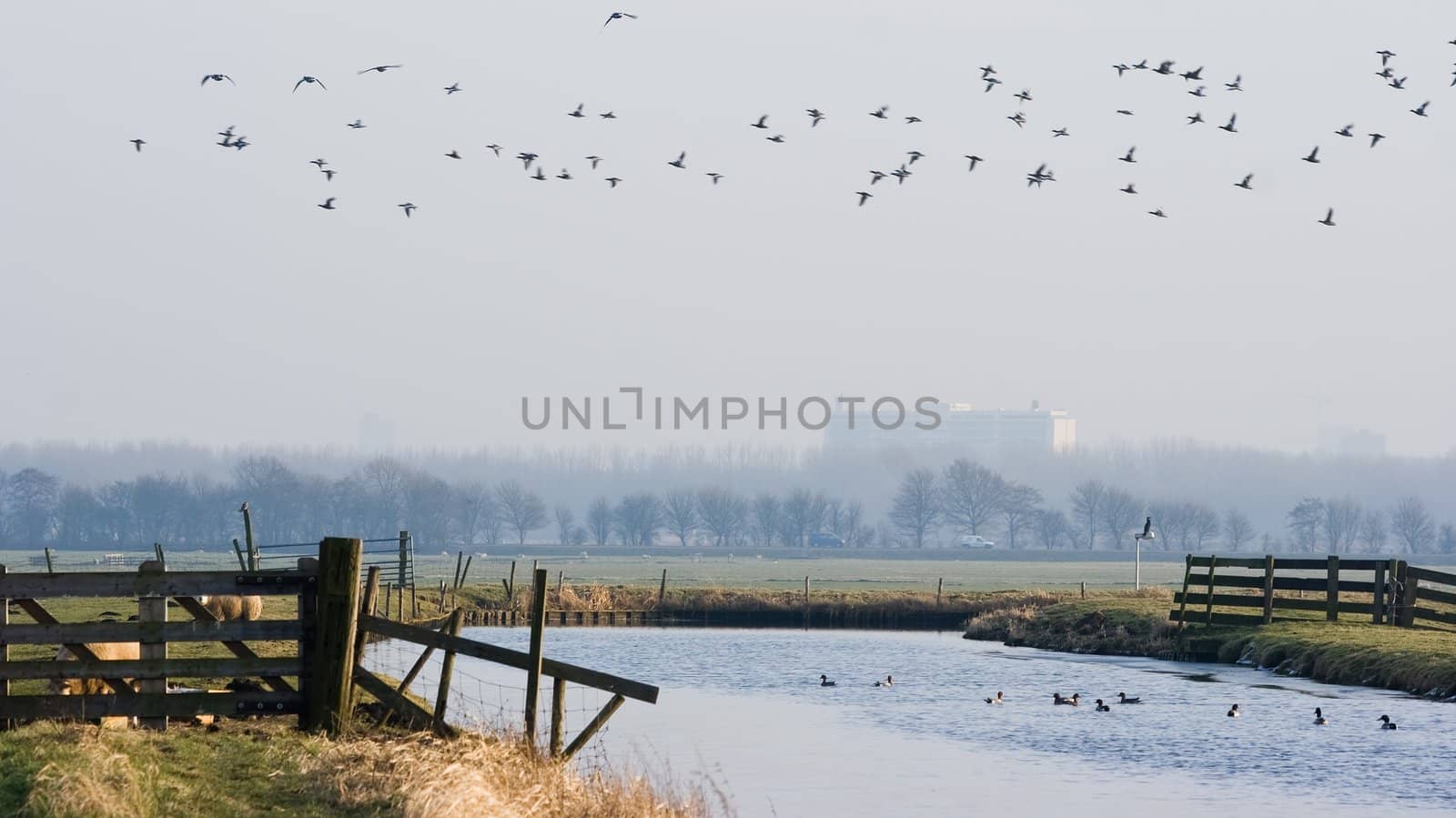 Dutch polderlandscape on cold misty winterday with city buildings in the background