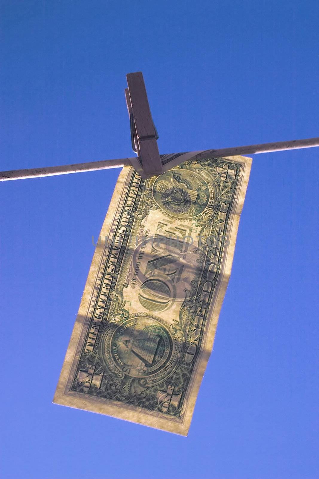 dollar bill hung out to dry
