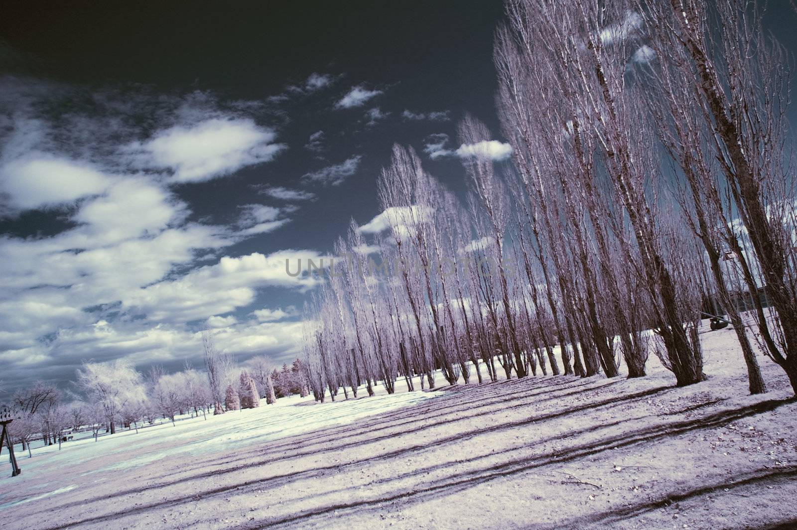 Landscape scene shot with an infrared filter