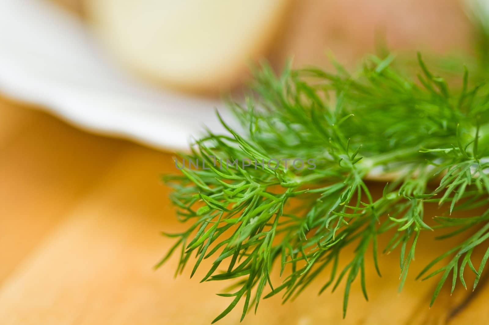 Provincial still-life with boiled potatoes, sliced salt cucumber and some dill on white porcelain  plate.  Wide open aperture, short hyperfocal distance. Focus on first plane at dill branch.
