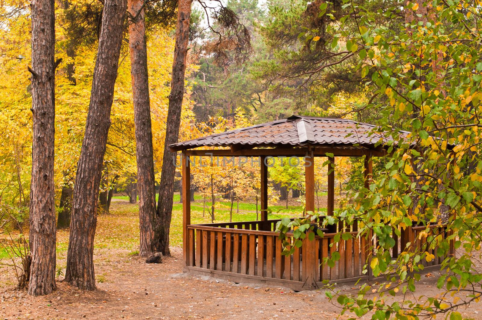 Wooden pavilion and various trees in the park at autumn horizontal