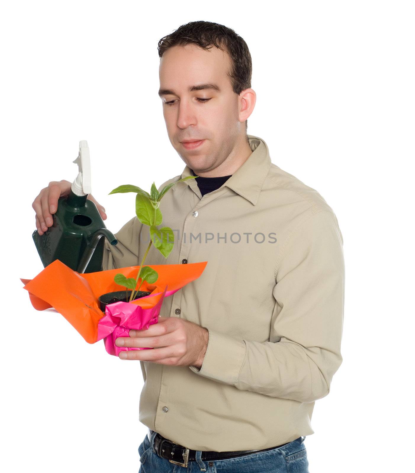 A young man watering a potted plant, isolated against a white background
