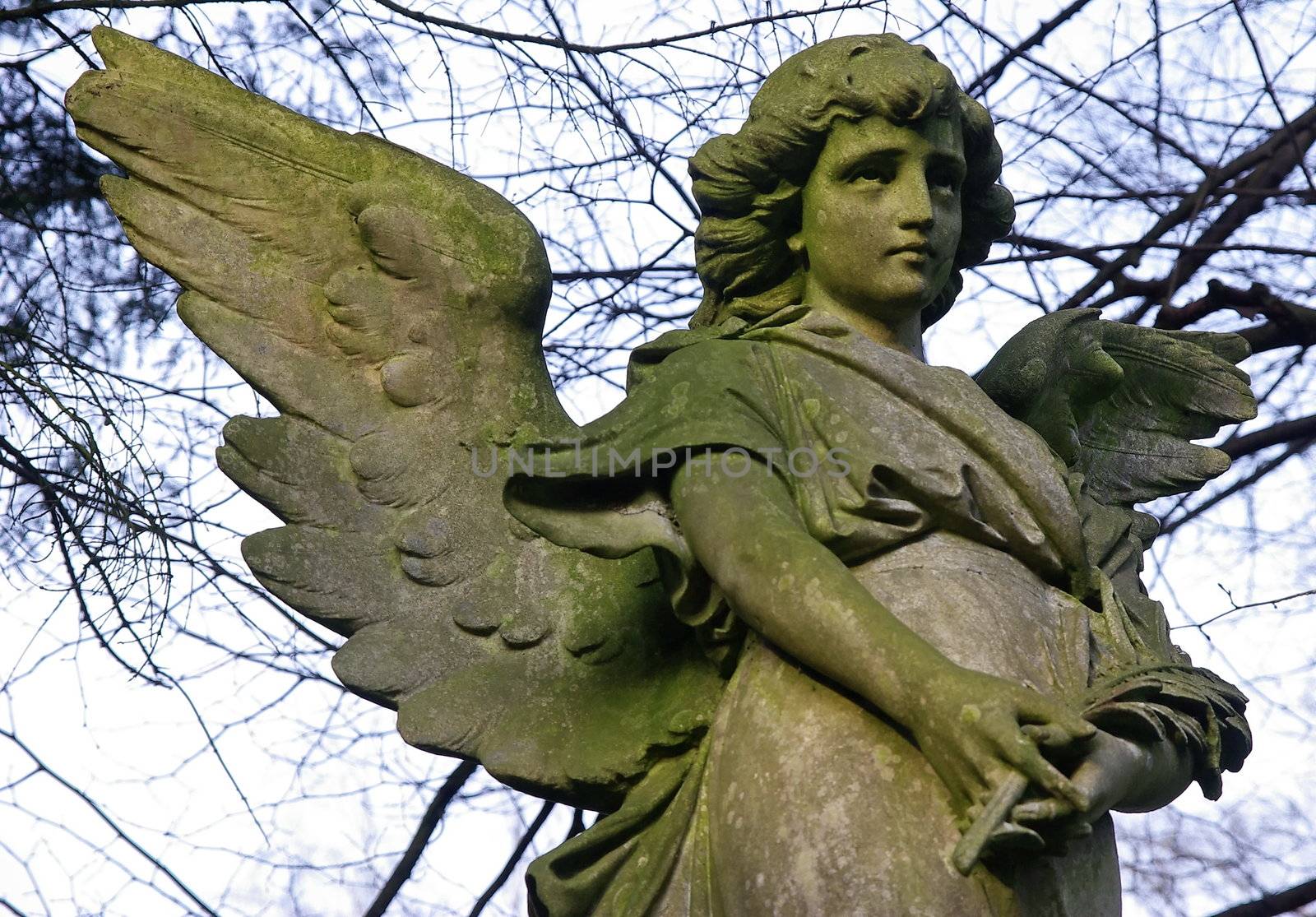 Stone angel in the cemetery