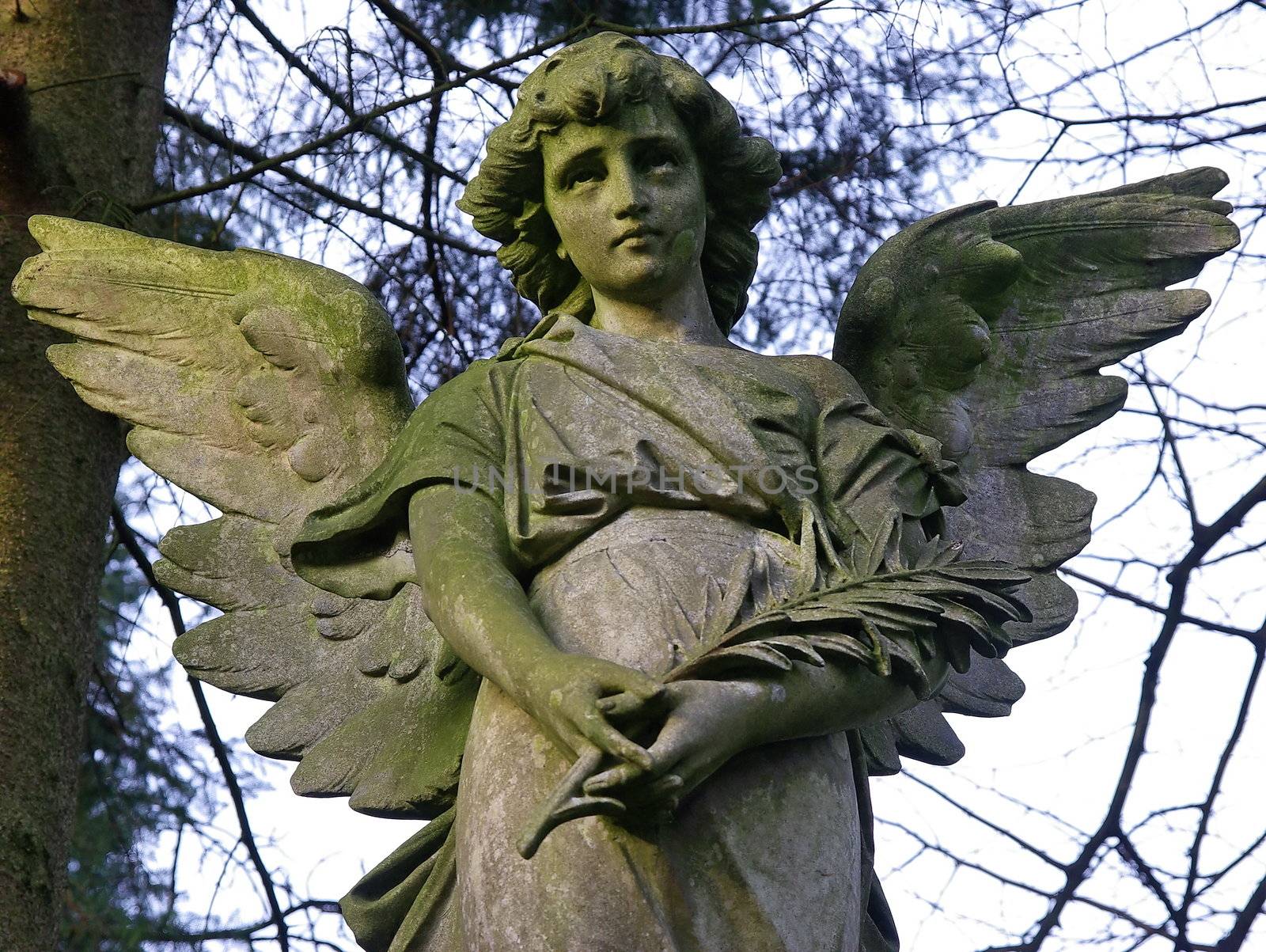 Stone angel statue in the cemetery