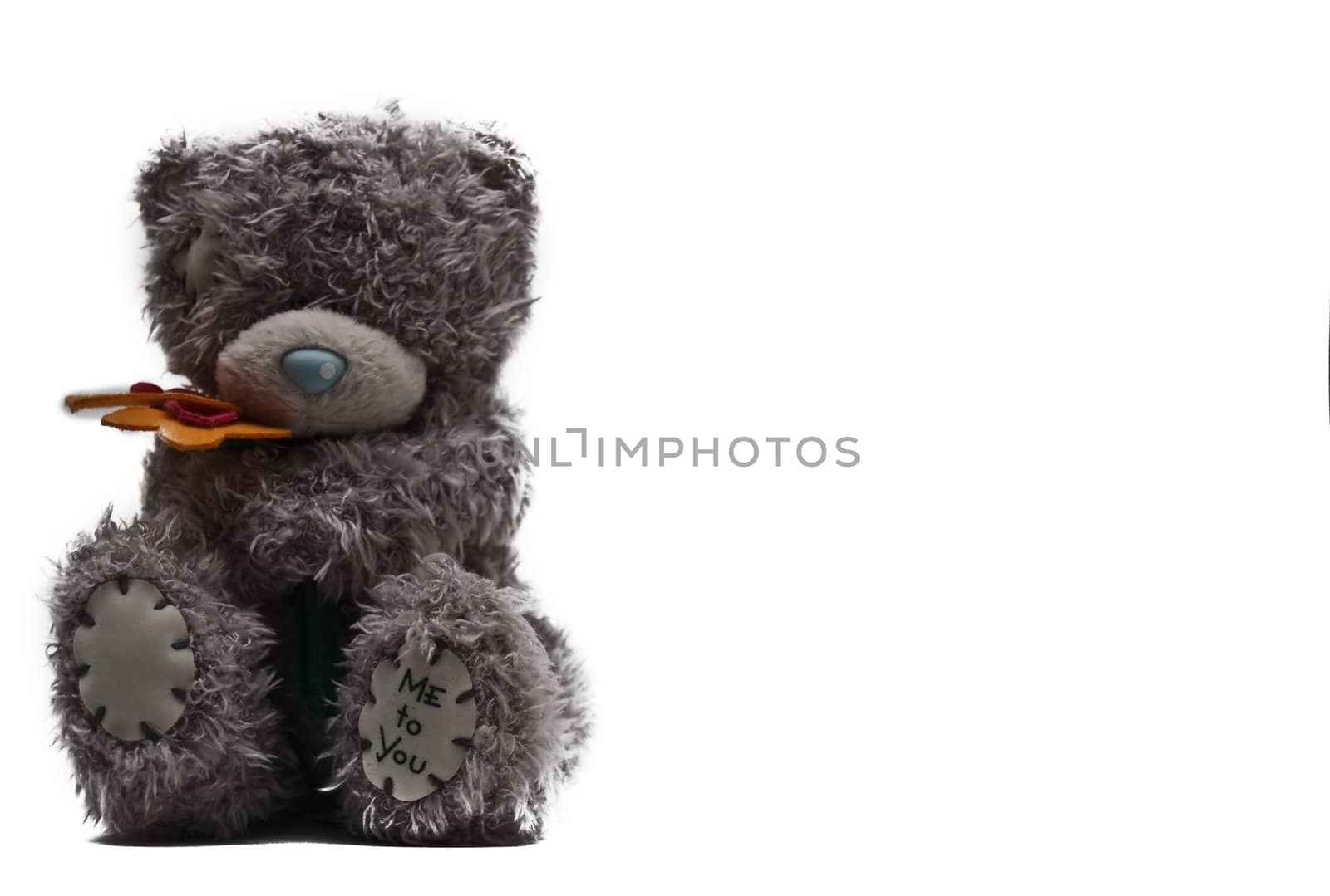 Grey teddy-bear with flowers as a background,greeting card