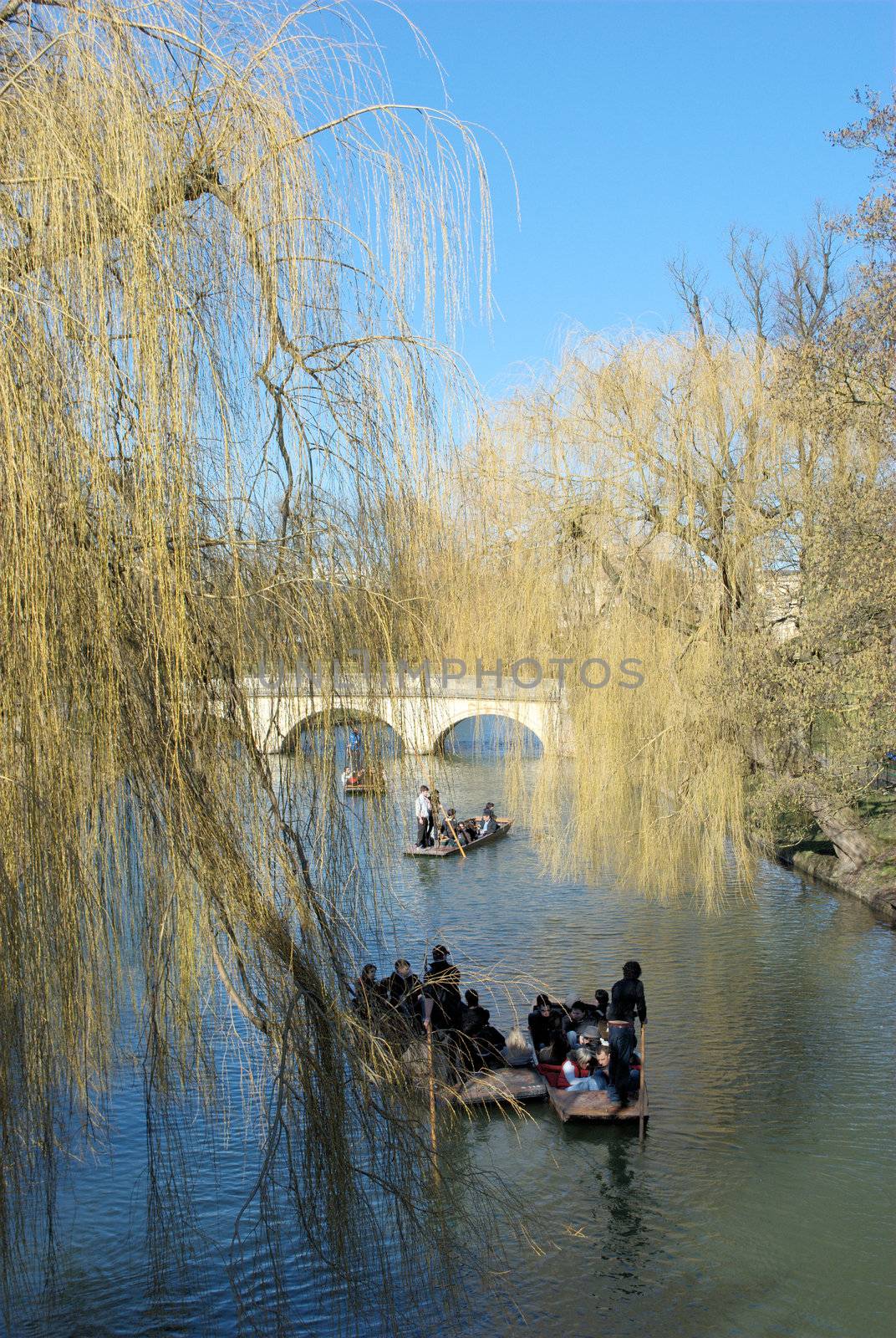 Punters on river at cambridge university