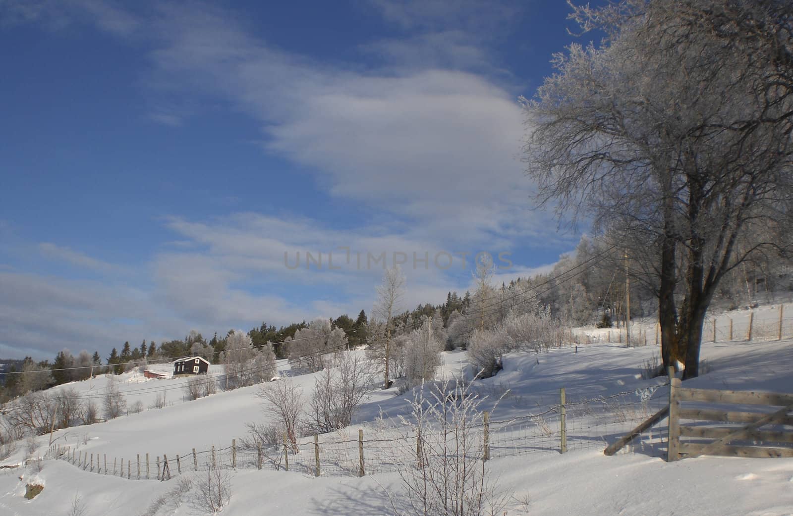 A norwegian snow landskape