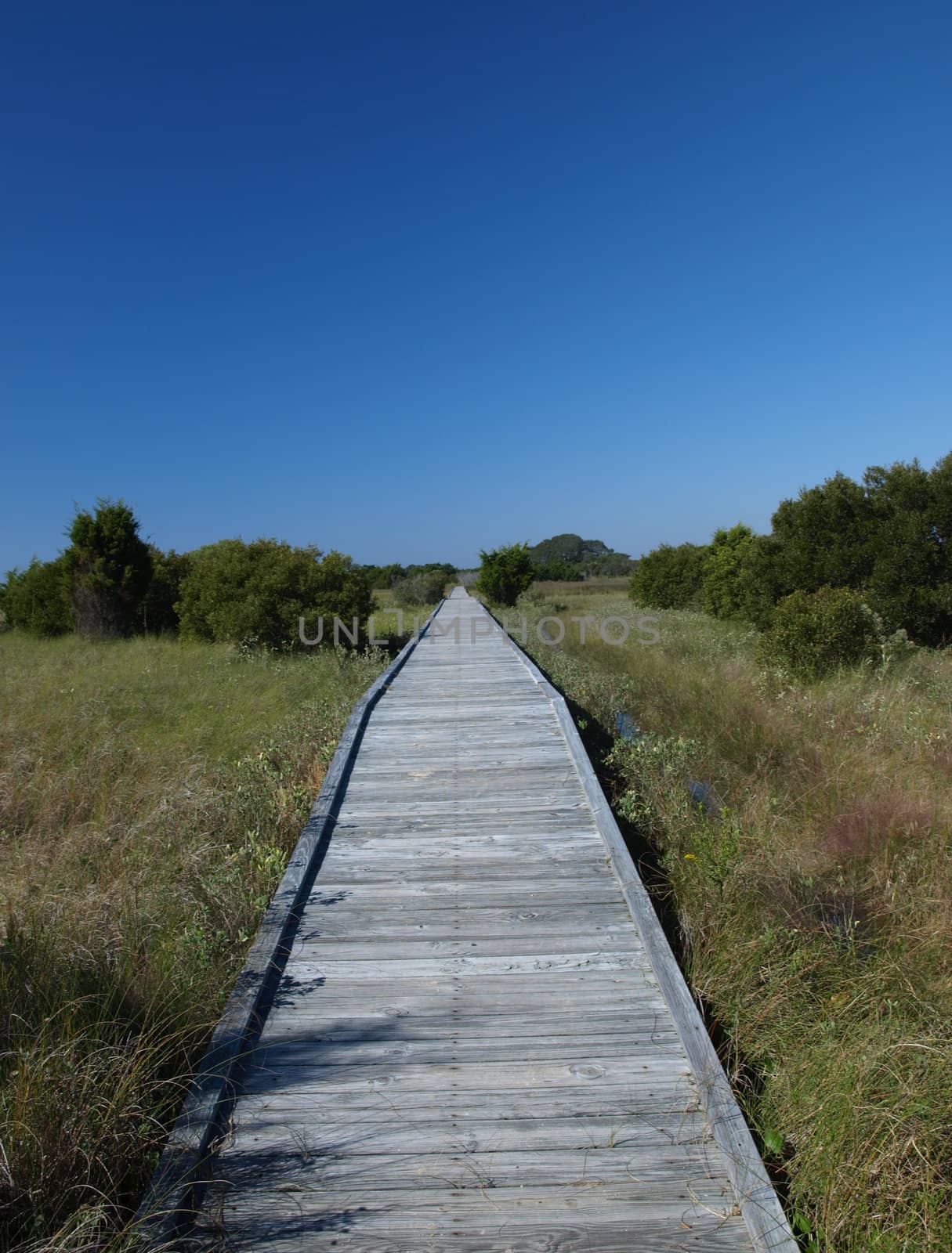 A footbridge across the marsh along the shore in North Carolina