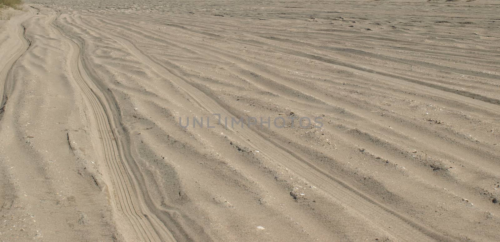 desert tracks by northwoodsphoto