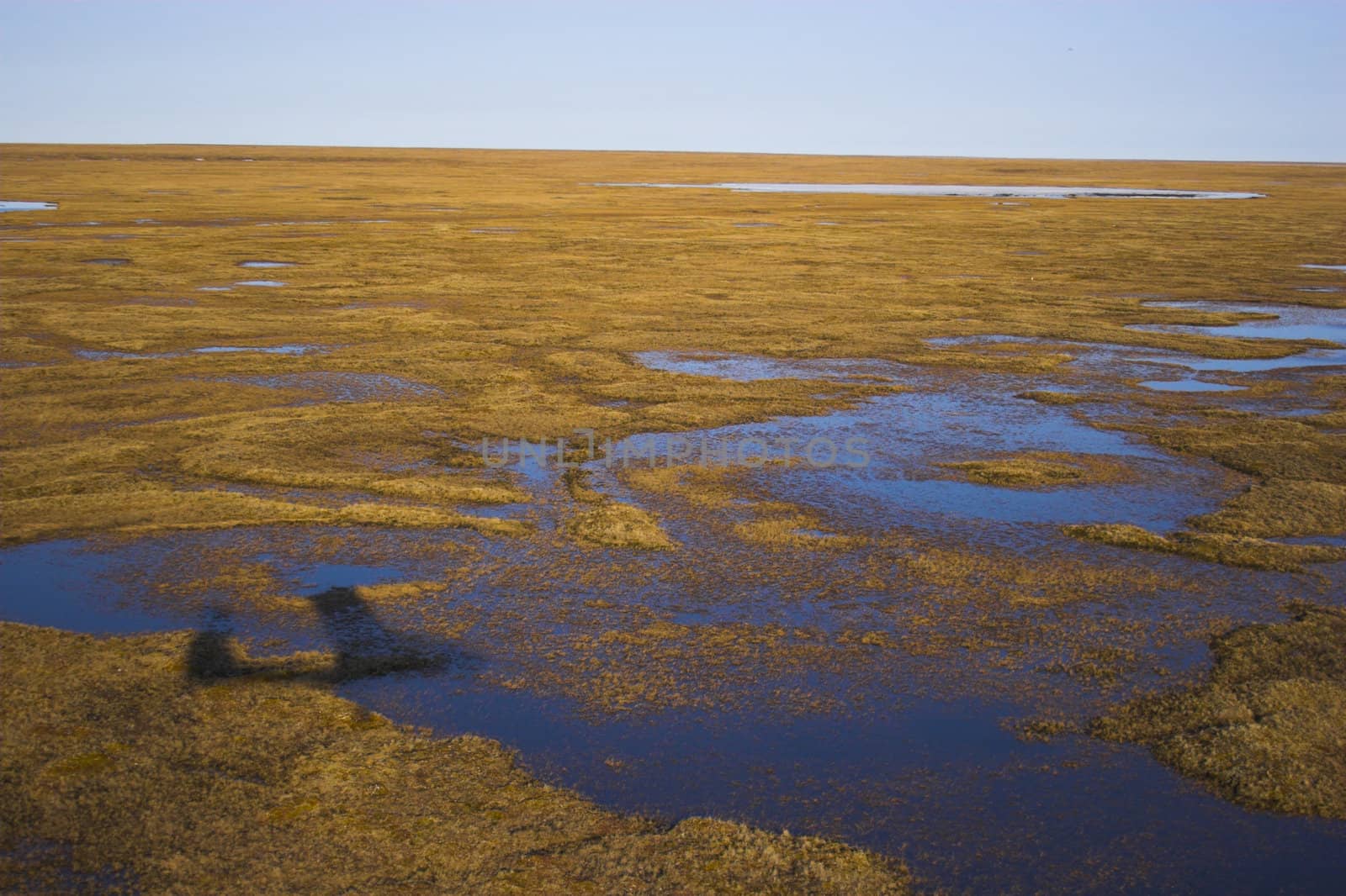 Aerial view of tundra near Arctic Ocean