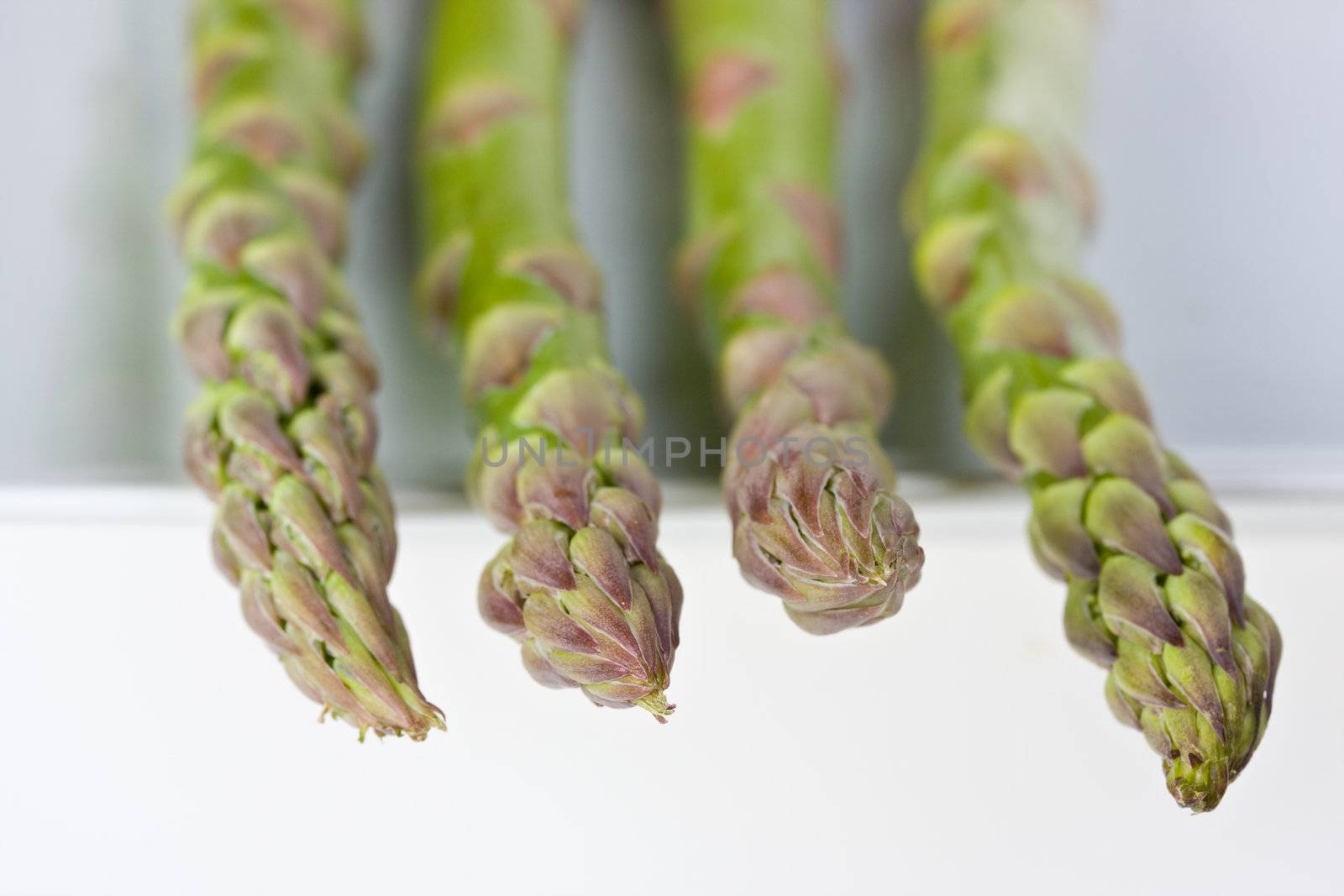 detail of fresh green asparagus isolated on white background