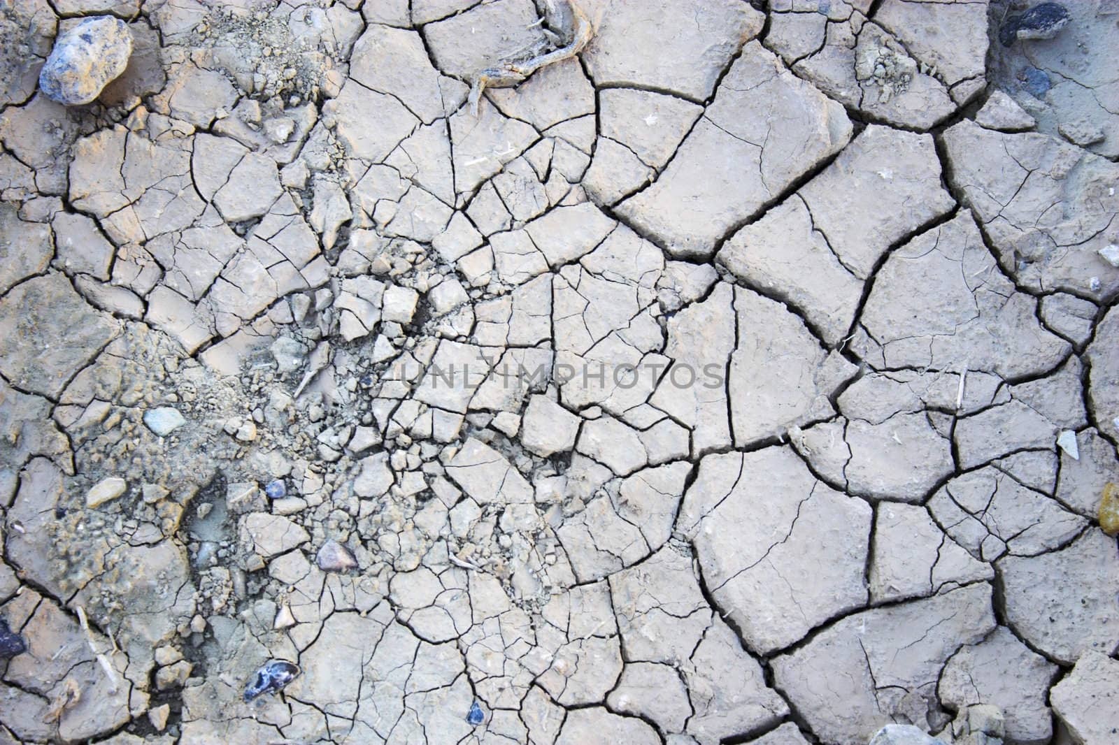 Desert landscape with multicolored yellow clay and salt mineral deposits in geological formations of Death Valley National Park