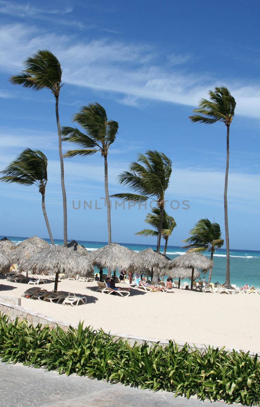 Beach huts and palm trees on the beach at Punta Cana, Dominican Republic.