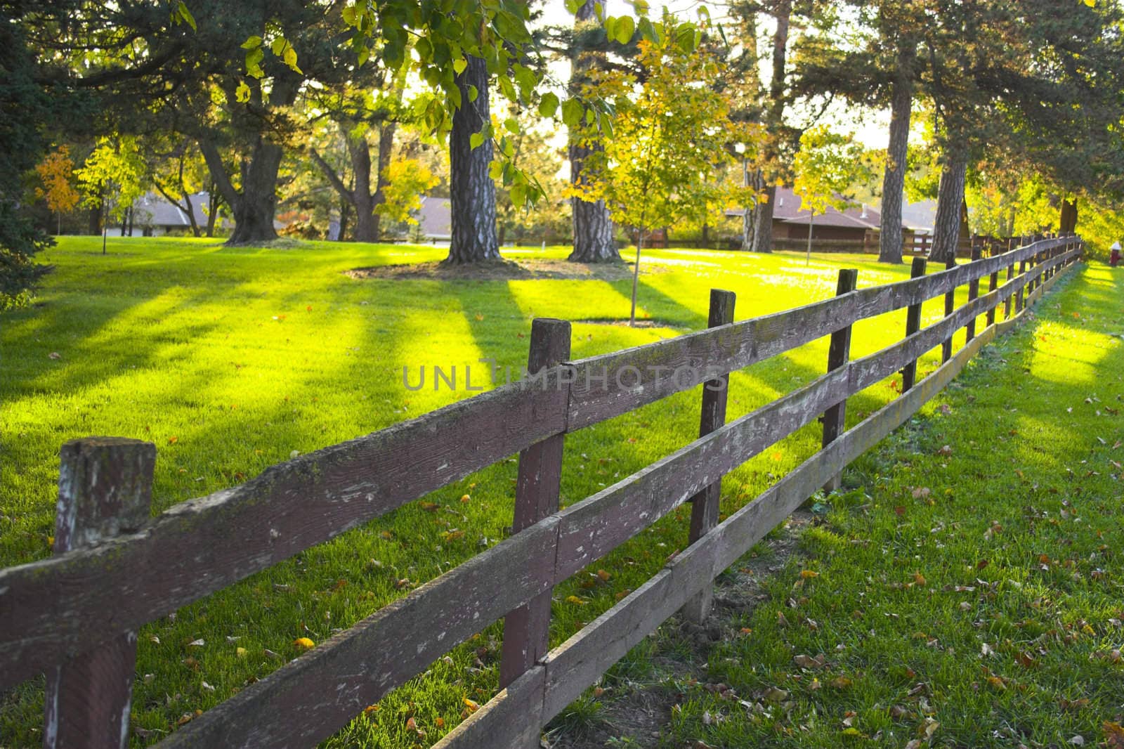 View of the trail with wooden fence