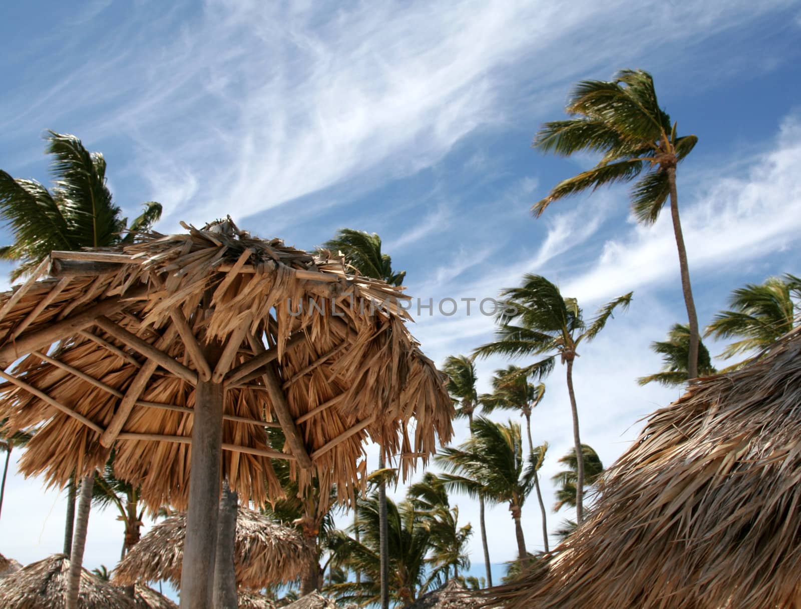 Beach huts and palm trees on the beach at Punta Cana, Dominican Republic.